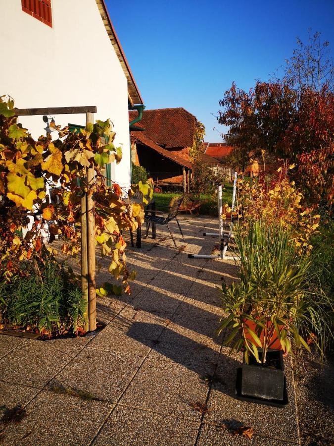 Ferienwohnungen Und Appartements Im Idyllischen Vierkanthof, Gruppenurlaube Fürstenfeld Eksteriør billede